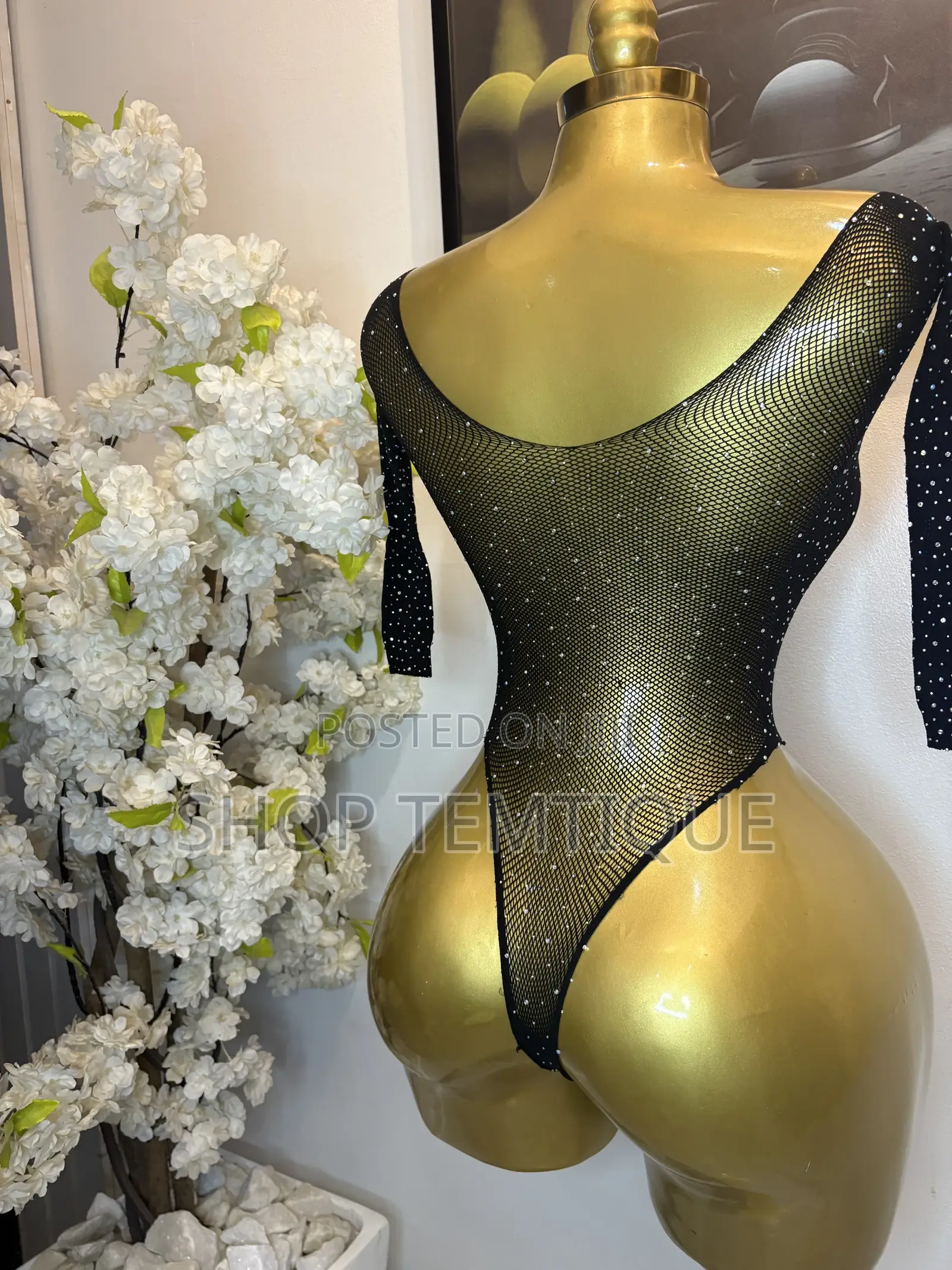 Sexy Women’s Sheer Meshy Shimmering Bodysuit