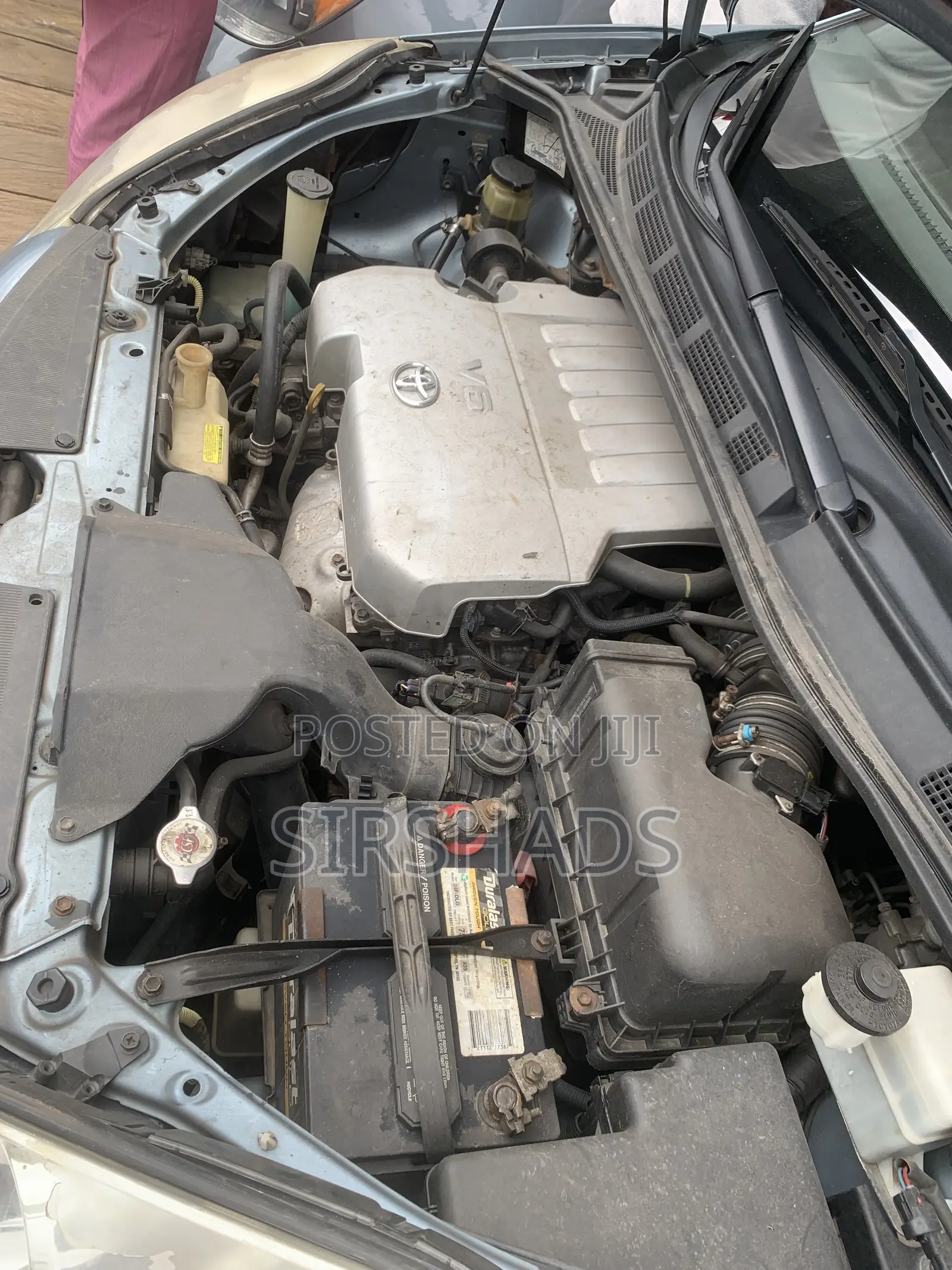 Toyota Sienna XLE 2008 Blue