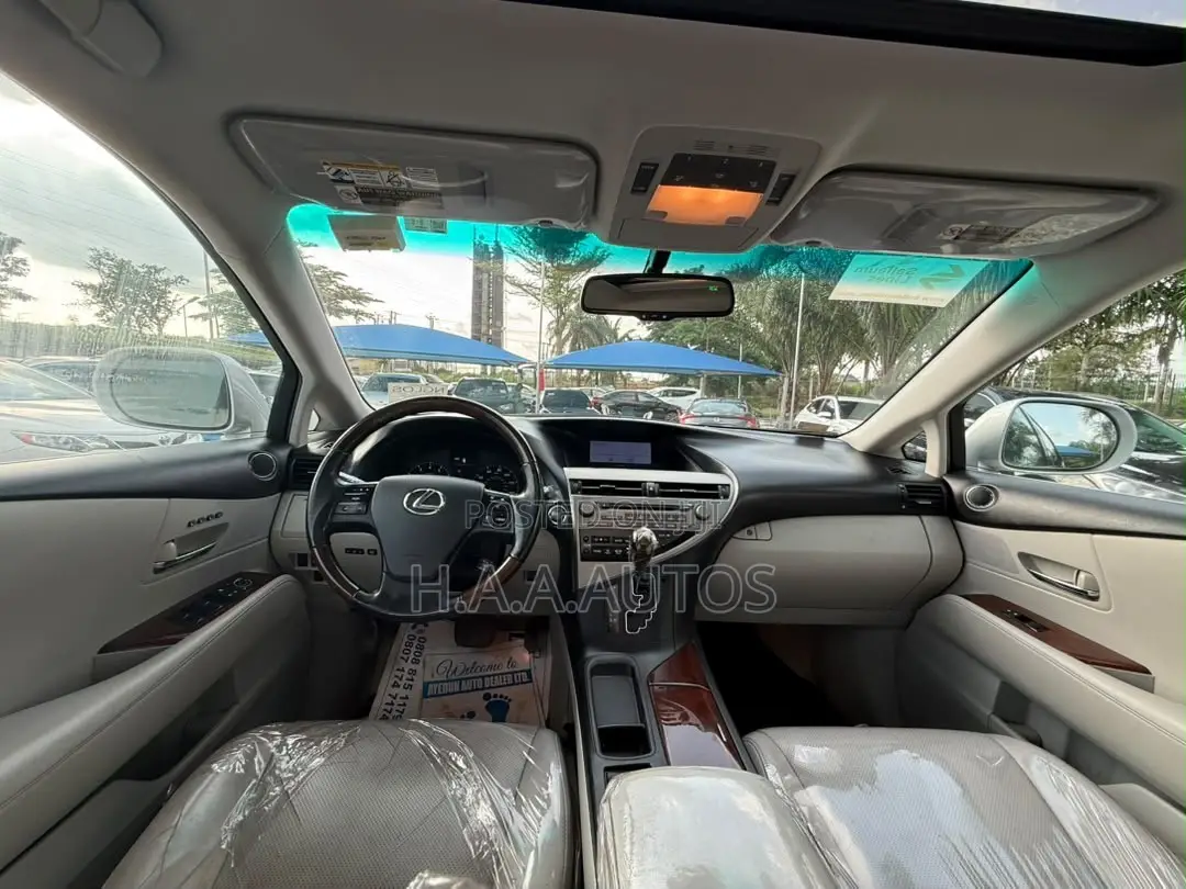 Lexus RX 350 2010 Silver