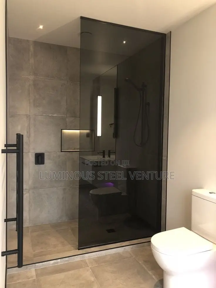 Get Your Pivot Shower  Premium Standard Version Built With Black Glas