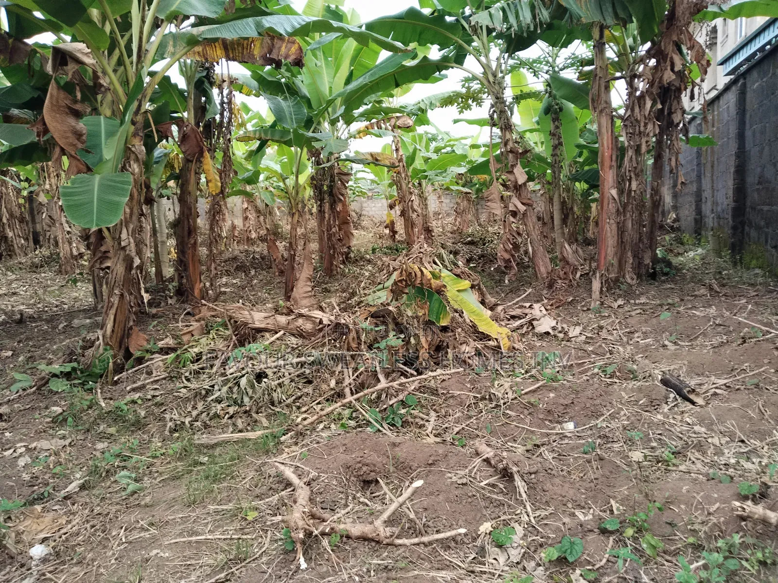 Investment /Development Land Standard Full Plot at Magboro