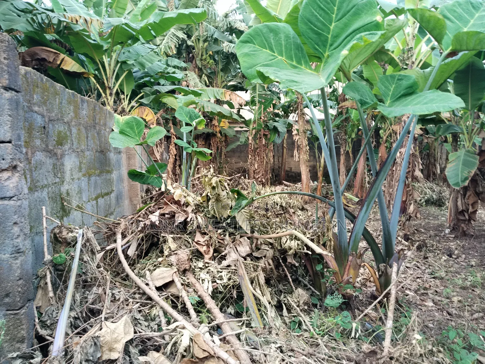 Investment /Development Land Standard Full Plot at Magboro