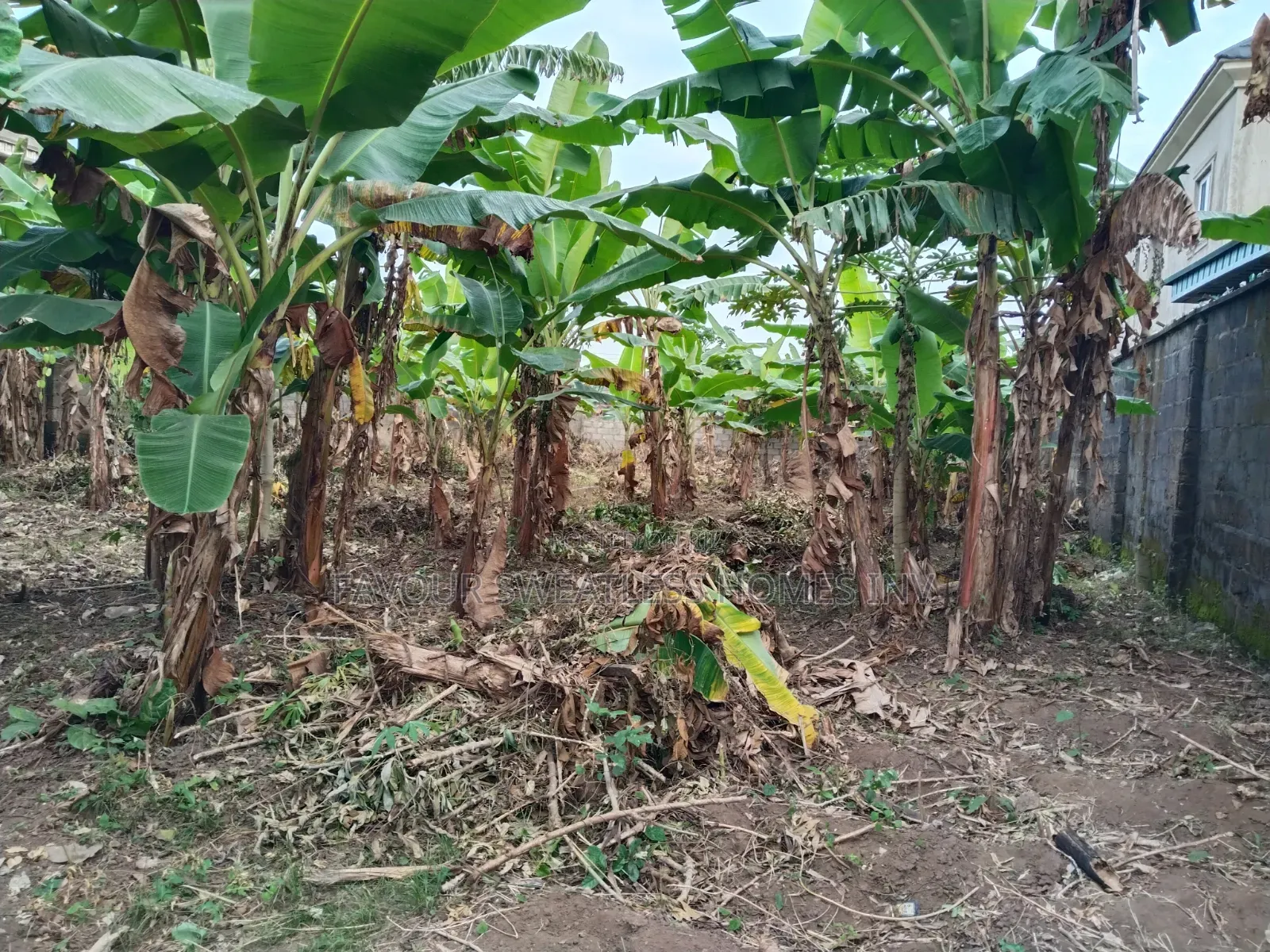 Investment /Development Land Standard Full Plot at Magboro