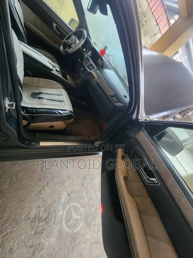 Mercedes-Benz E350 2009 Gray