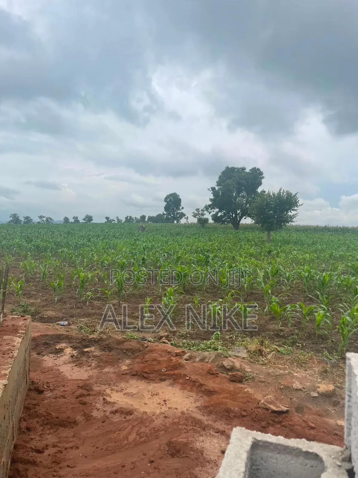 Land and Plots for Sale