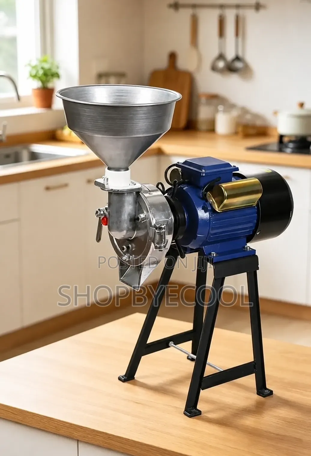 Wet and Dry Electric Grinder