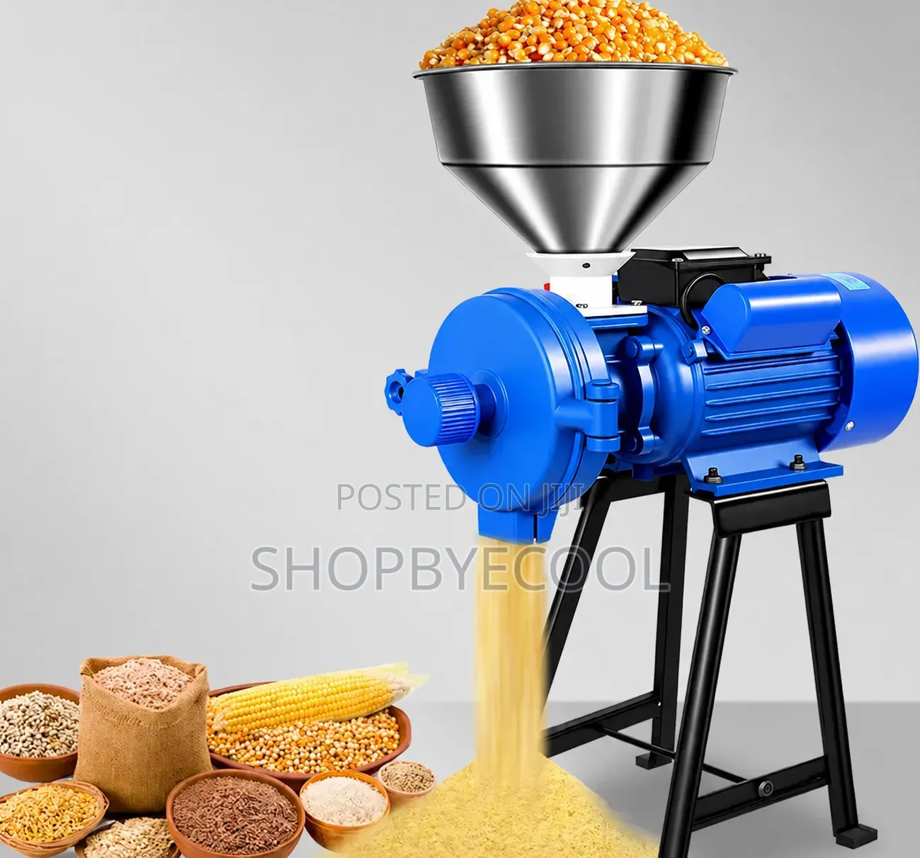 Wet and Dry Electric Grinder