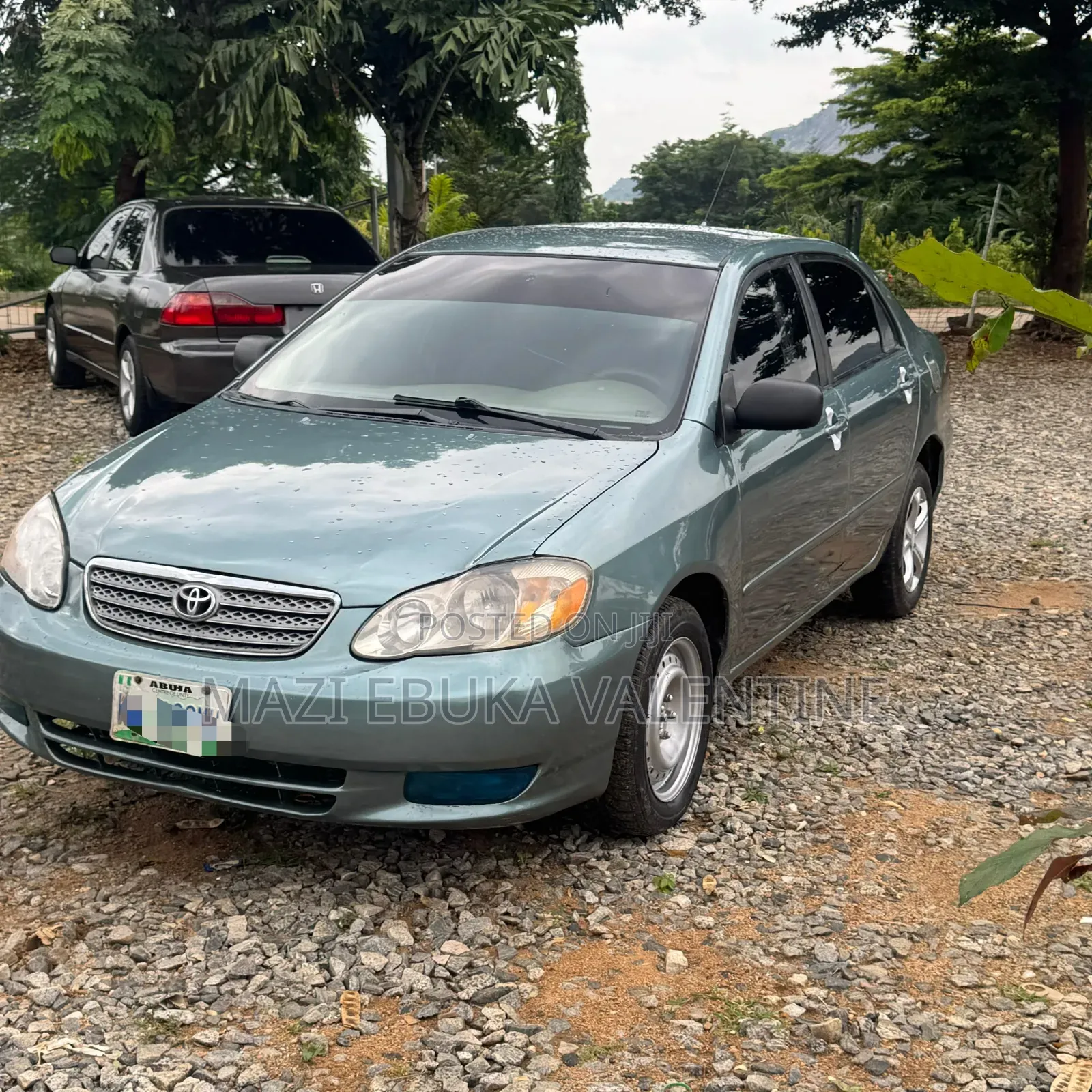 Toyota Corolla 2004 Green