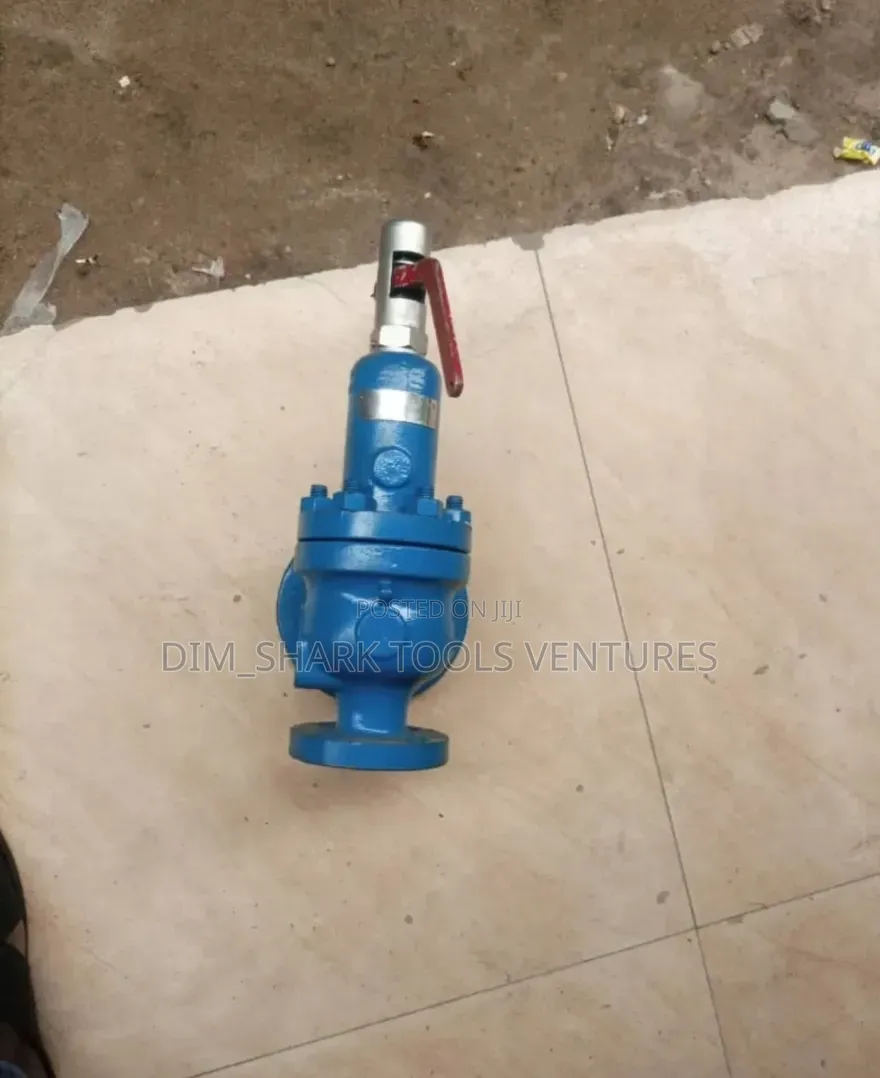 1"Inch X 2"Inch Safety Relief Flanged Valve