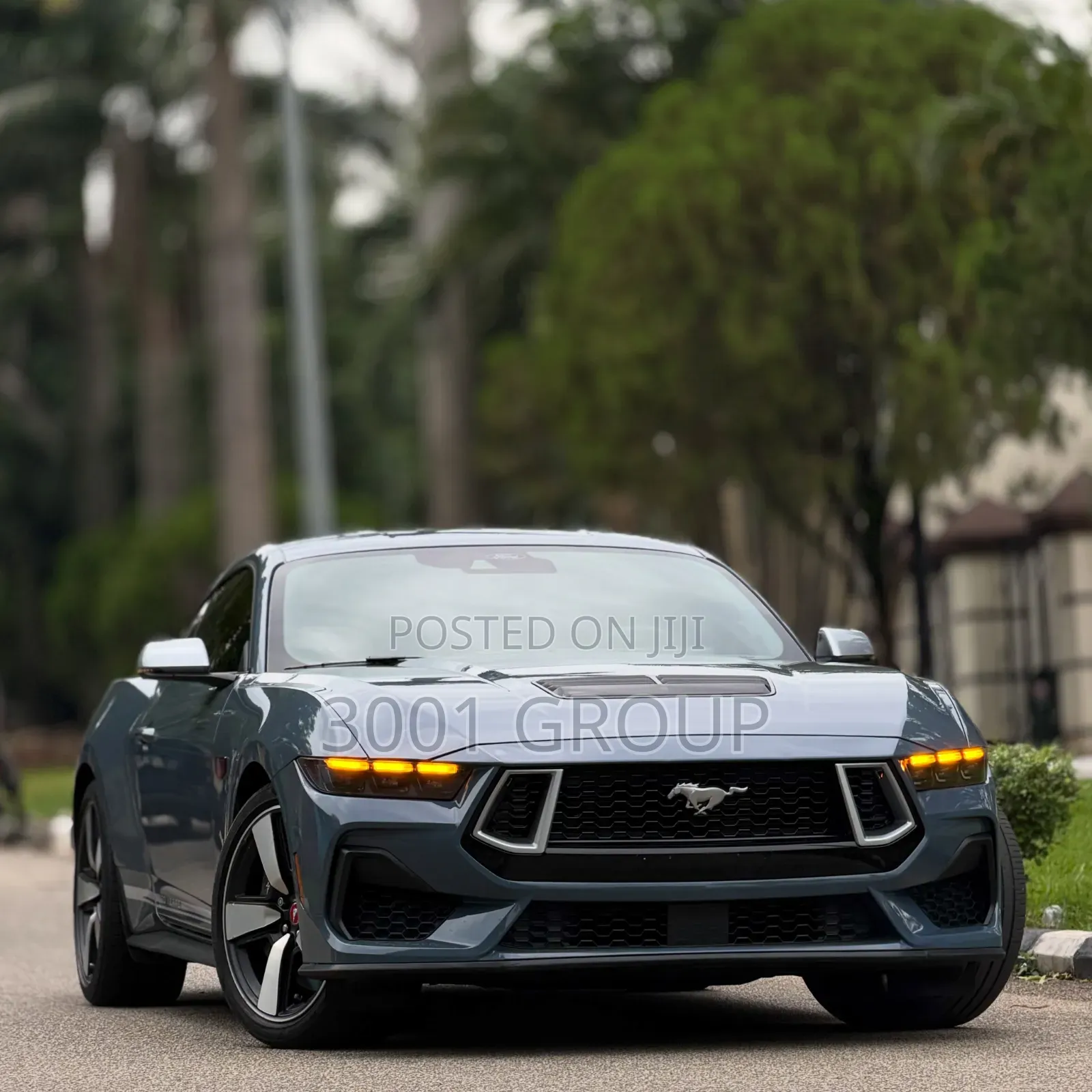 New Ford Mustang 2026 Gray