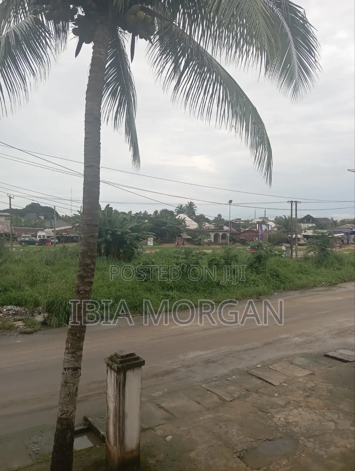 3000sqm Land at 2 Lanes, Uyo for Sale