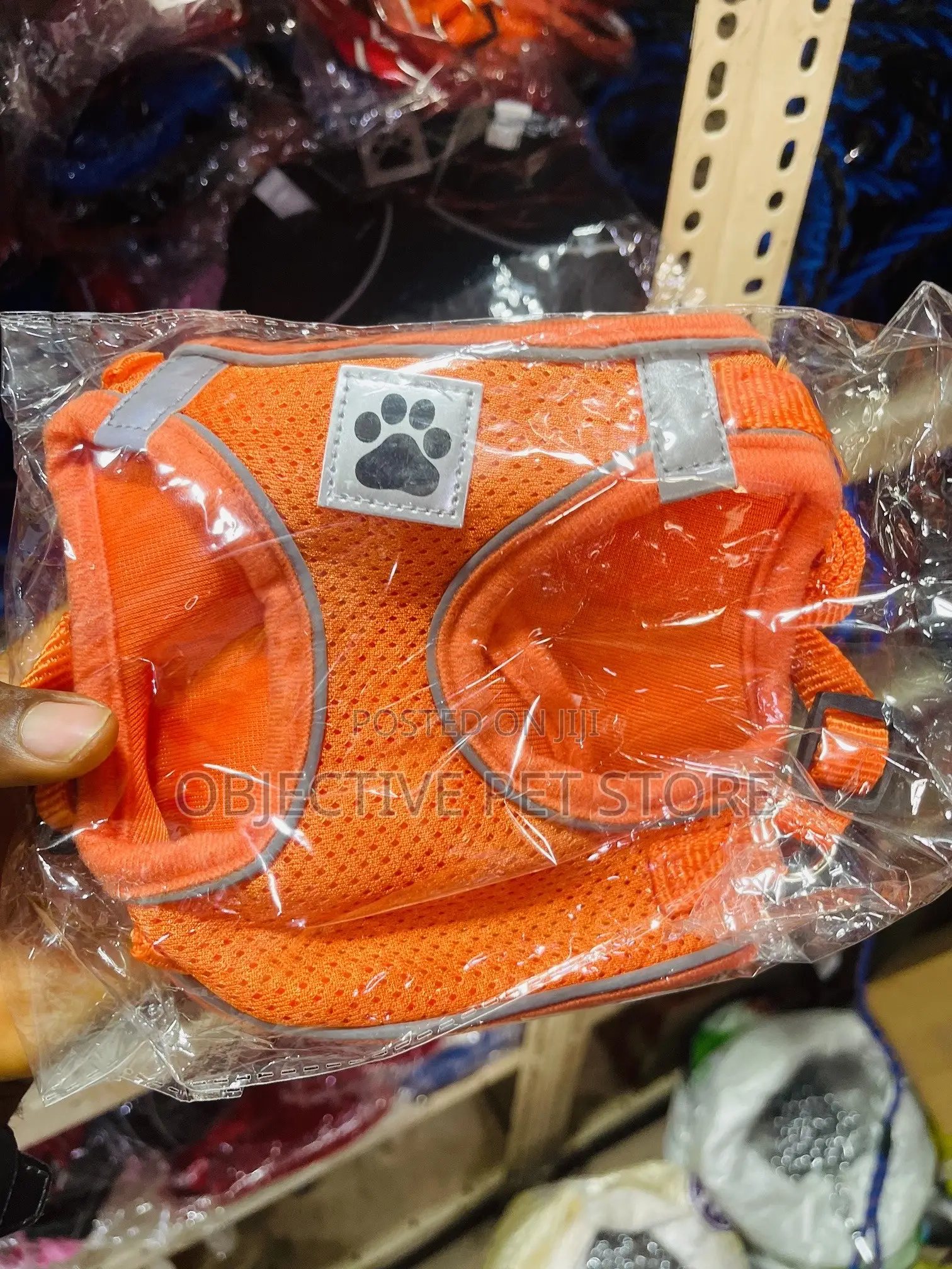 Dog and Cat Harness and Leash