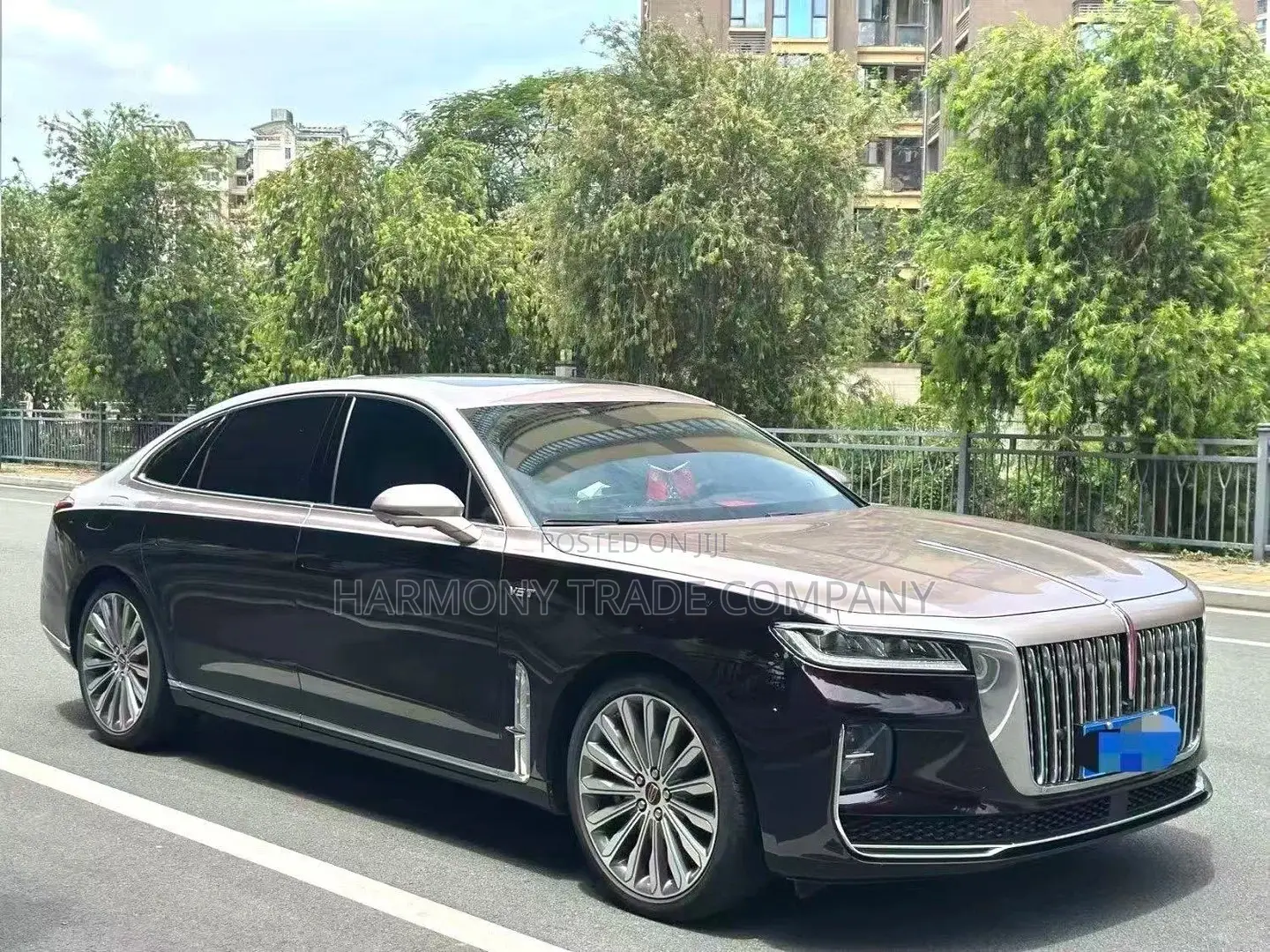 Hongqi E-HS9 2023 Black