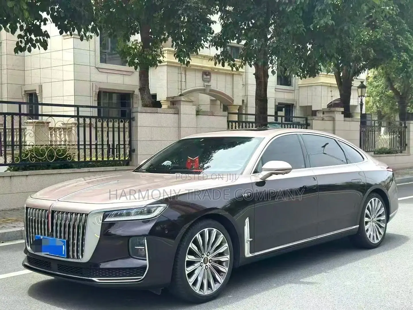 Hongqi E-HS9 2023 Black