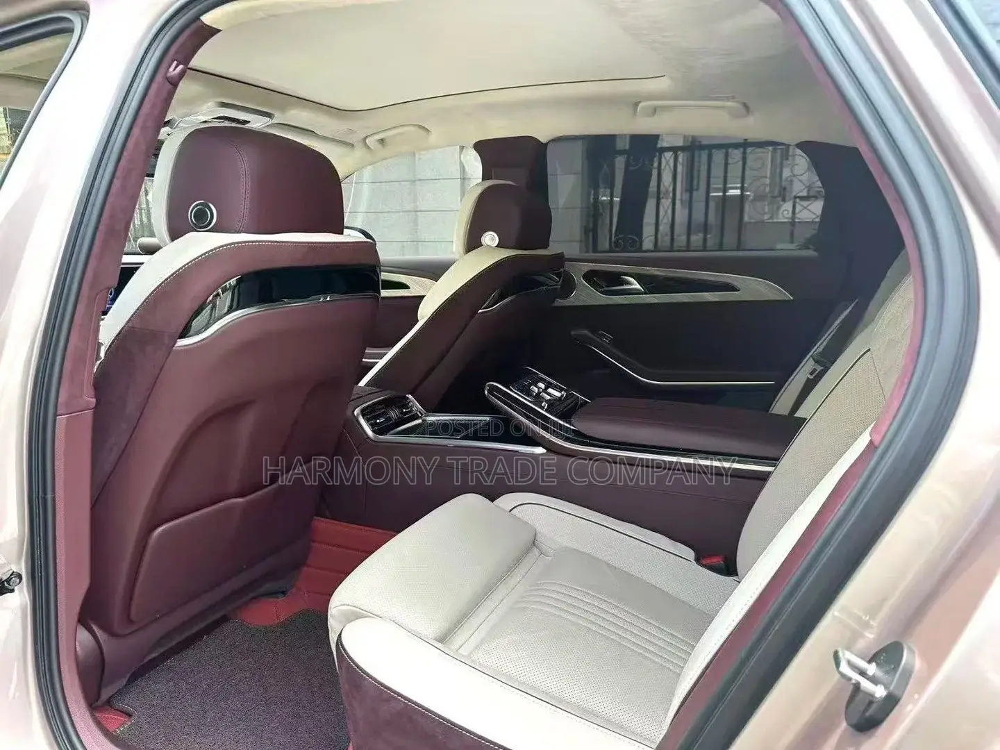 Hongqi E-HS9 2023 Black