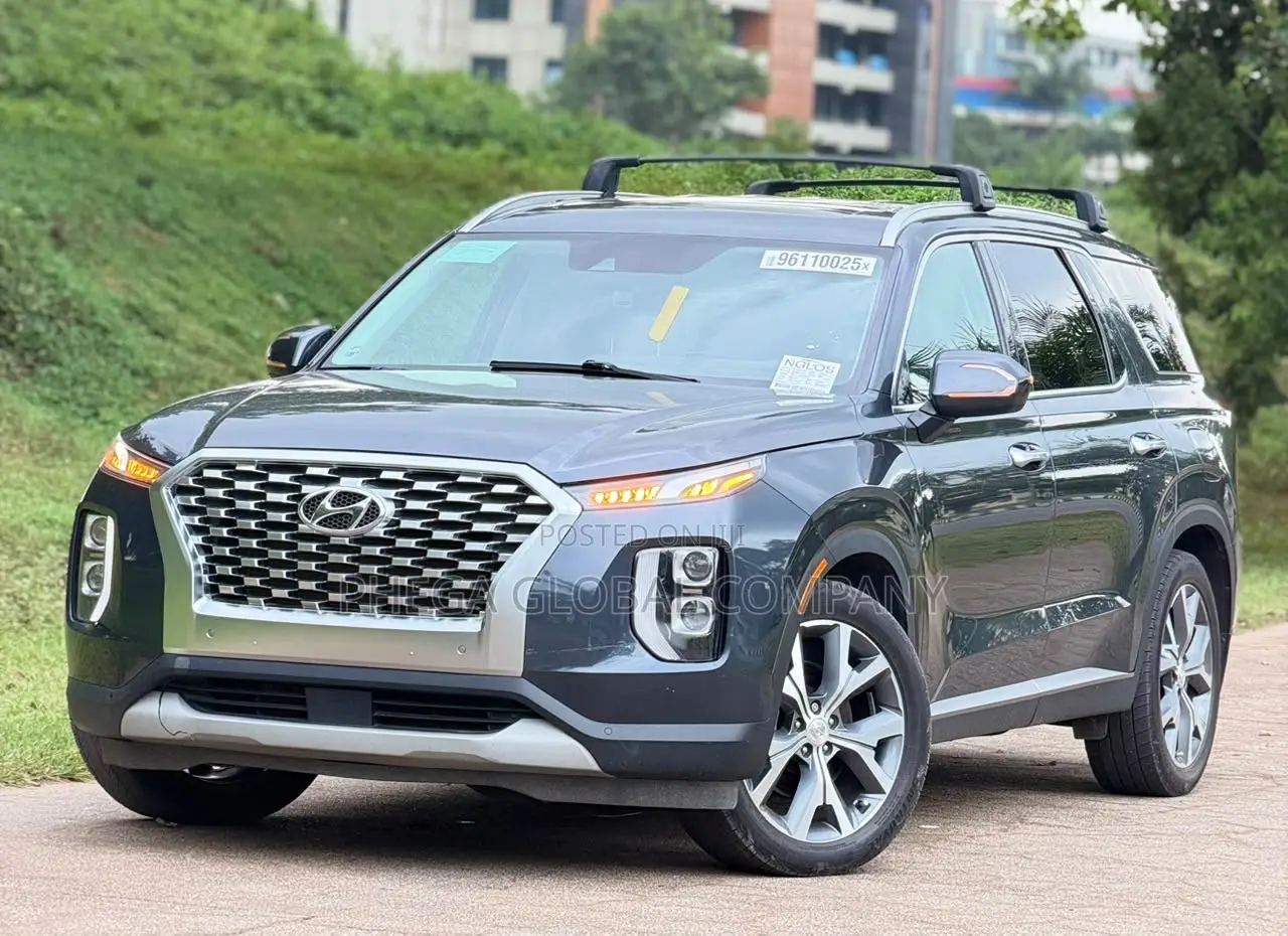 Hyundai Palisade 2020 Gray