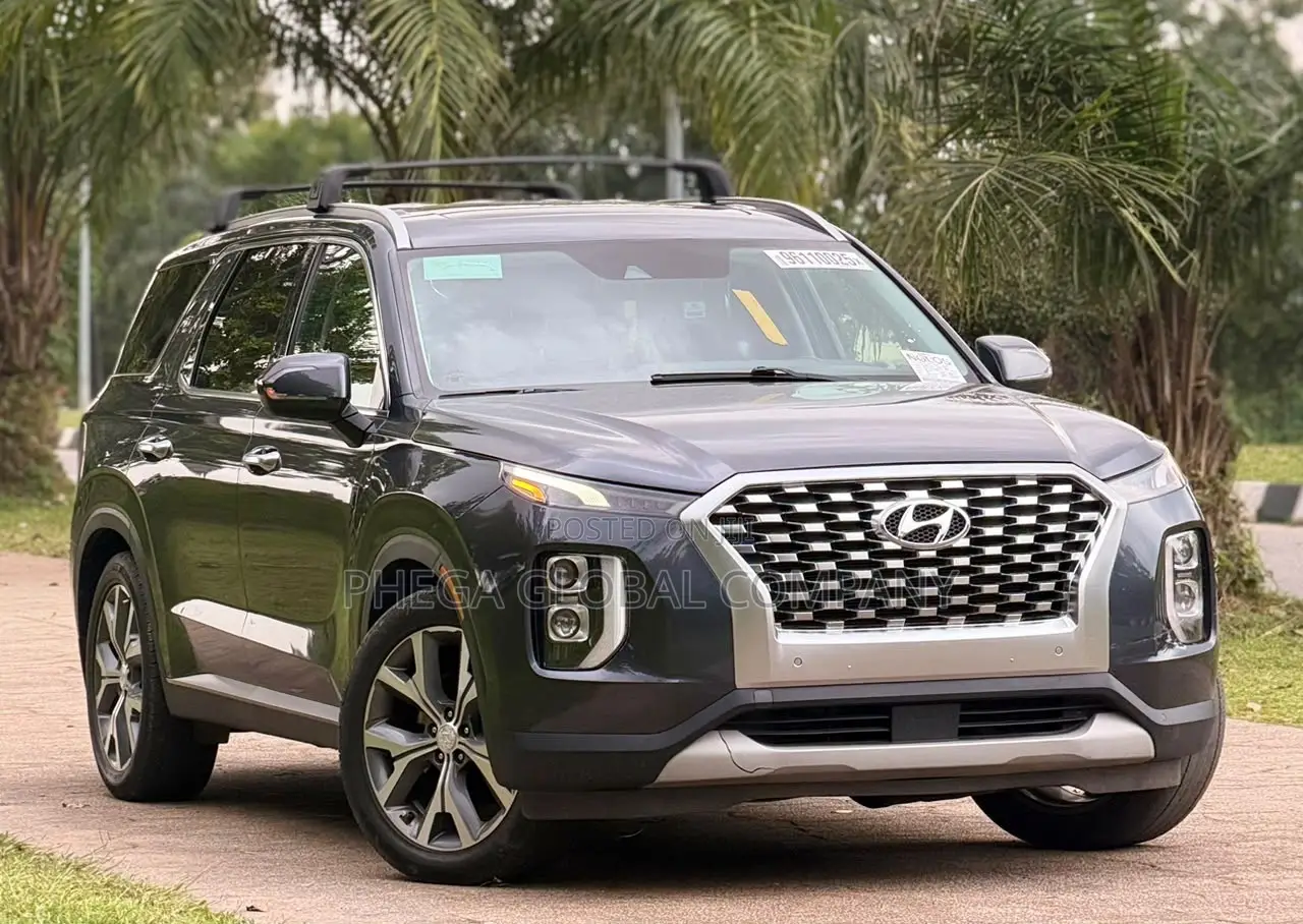 Hyundai Palisade 2020 Gray
