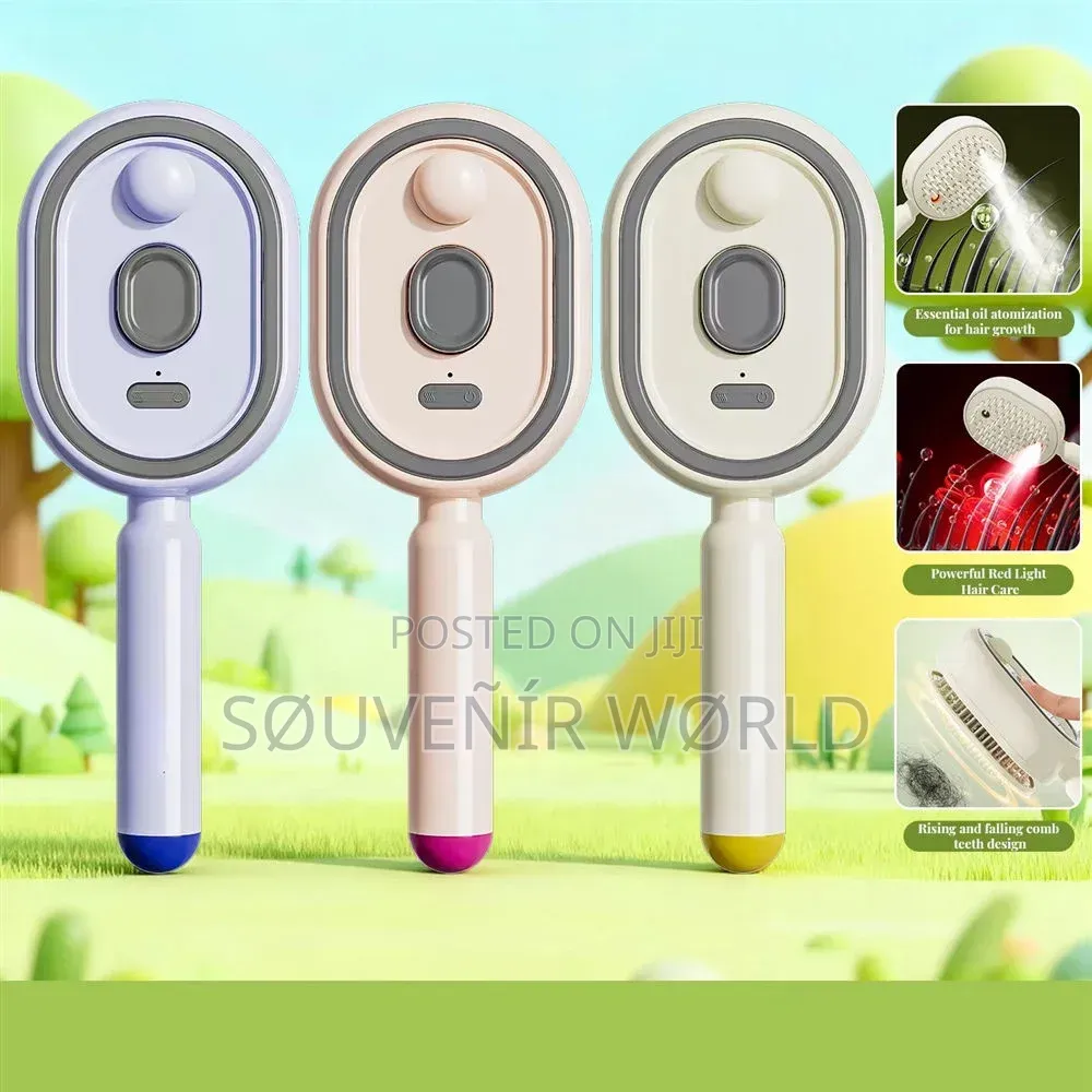 Rechargeable Electric Steam Hair Brush