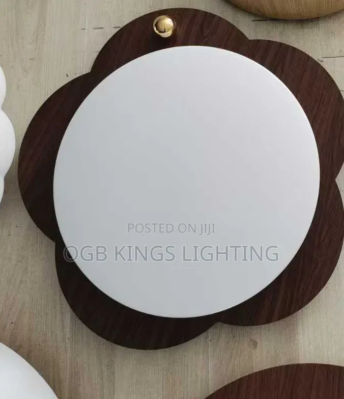 Ceiling Light Led Lighting