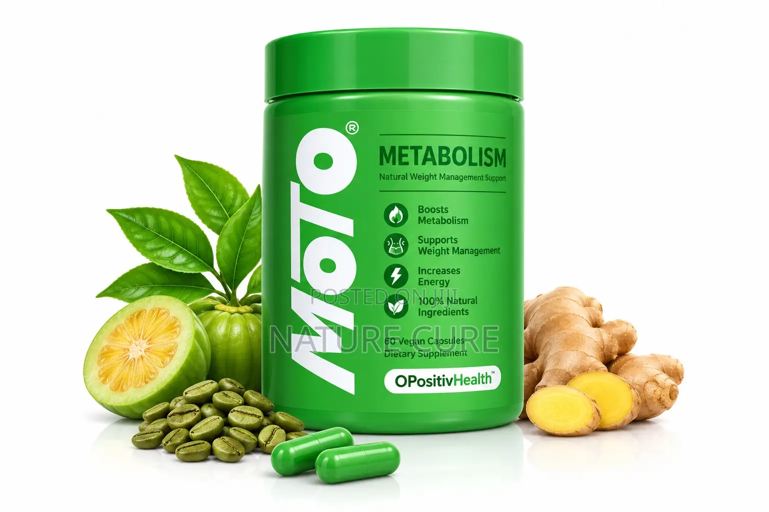 Moto Metabolism