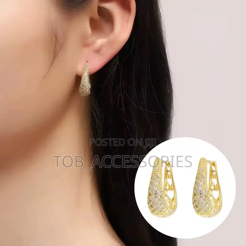 Hoop Zircon Earrings