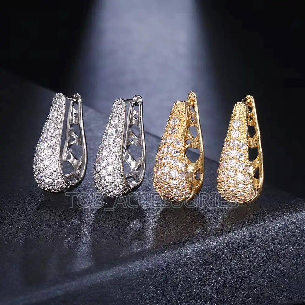 Hoop Zircon Earrings
