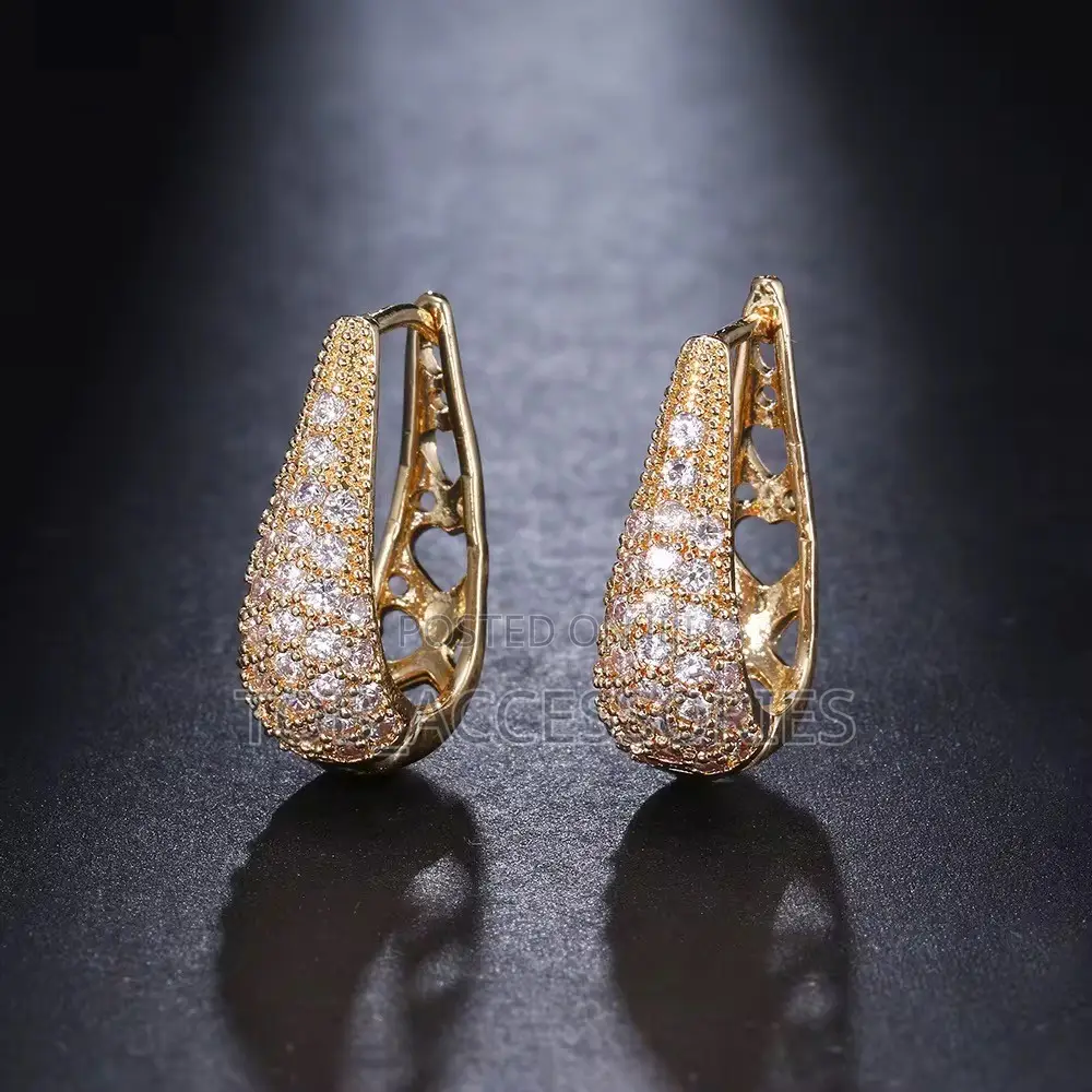 Hoop Zircon Earrings
