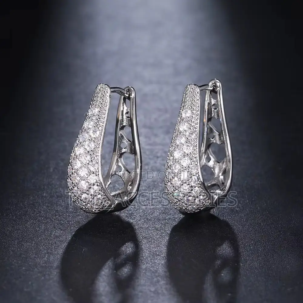 Hoop Zircon Earrings
