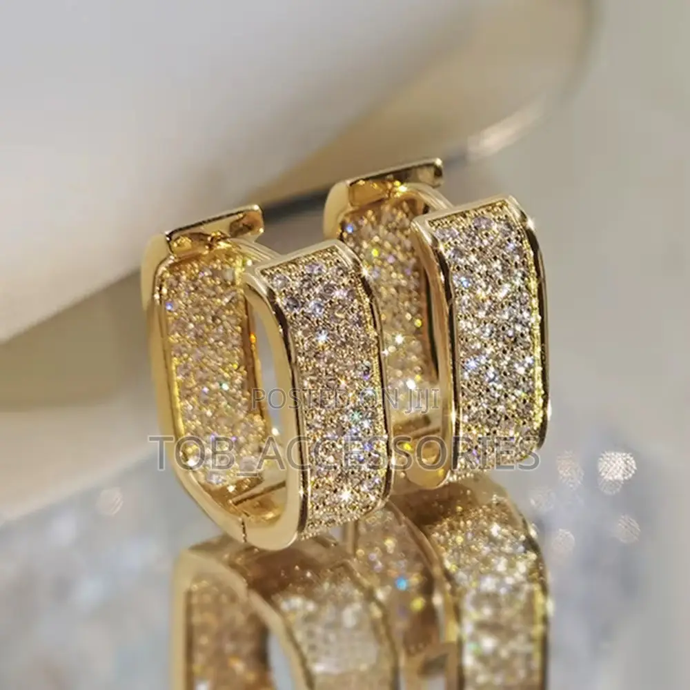 Hoop Zircon Earring