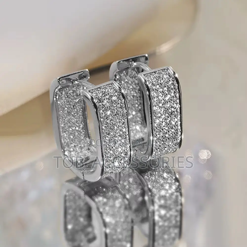 Hoop Zircon Earring