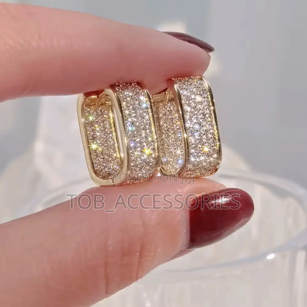 Hoop Zircon Earring