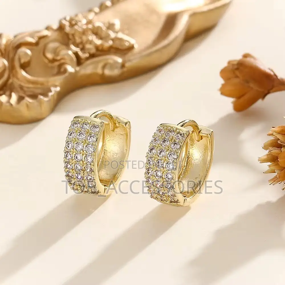 Hoop Zircon Earring