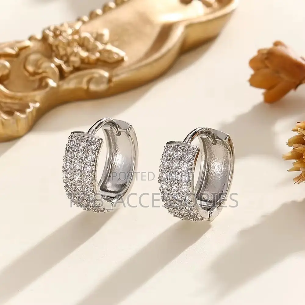 Hoop Zircon Earring