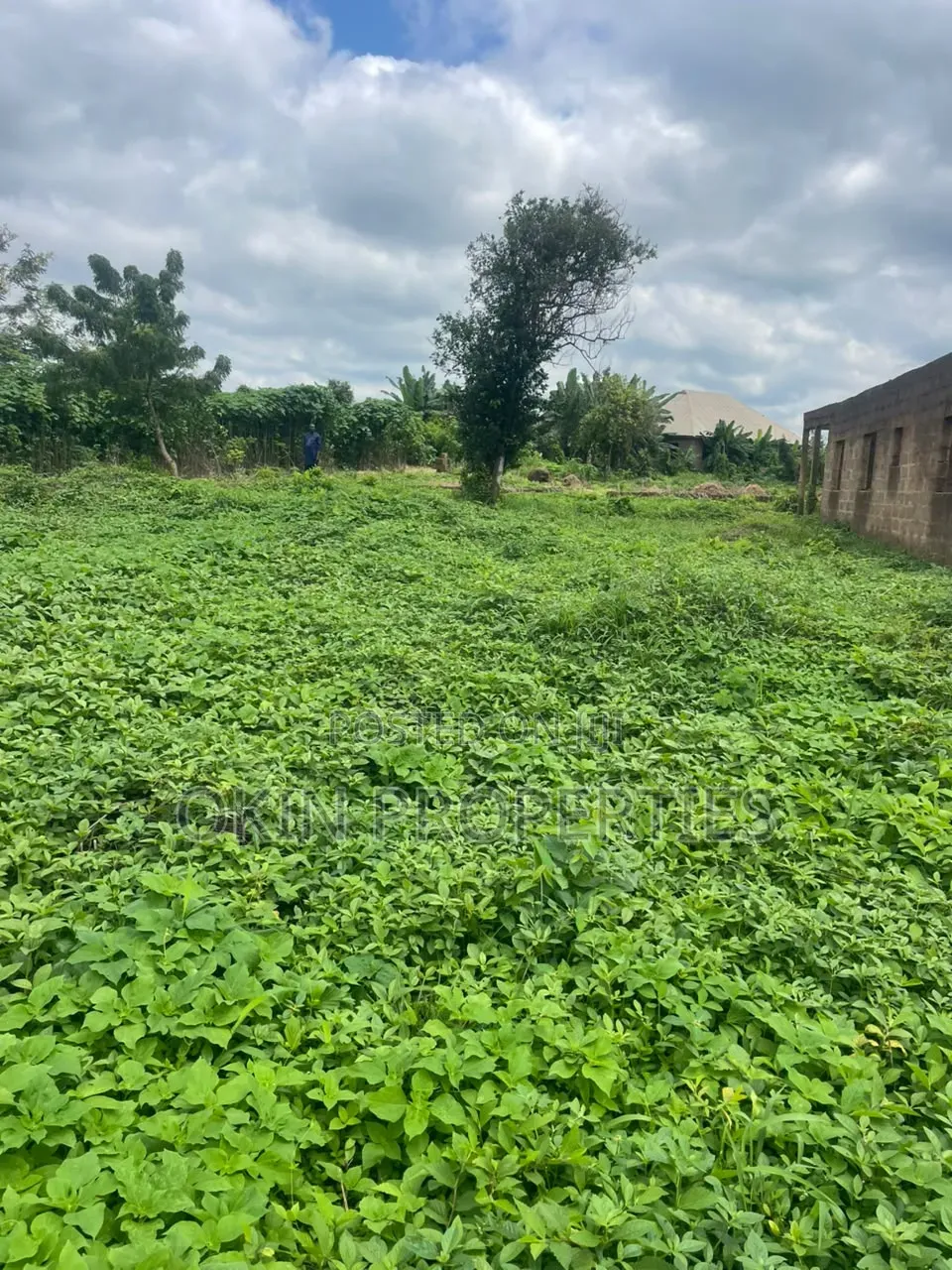 Two Plots With Uncompleted Flats