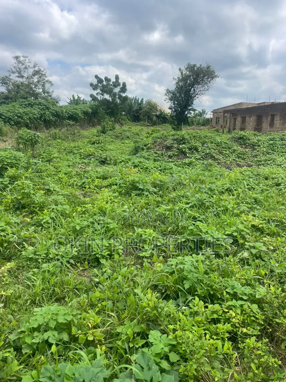 Two Plots With Uncompleted Flats