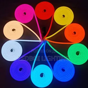 12volt Neon Light