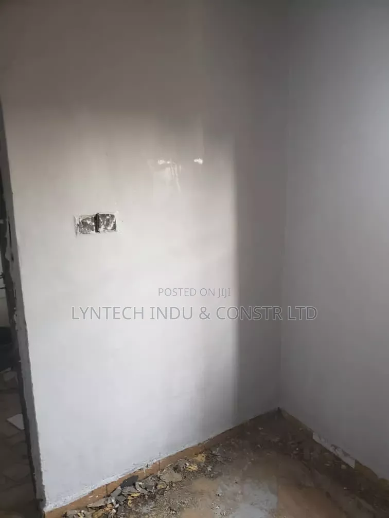 Mould Removal, Repairs and Damp Wall Maintenance