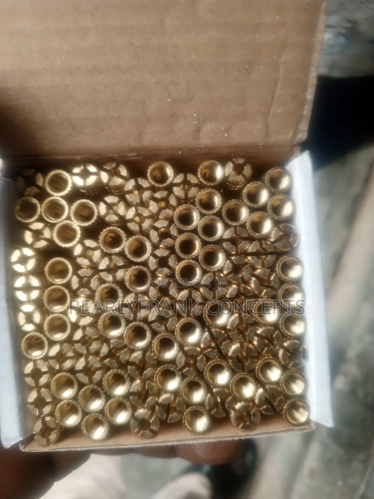 Golden Fisher/Anchor Bolt