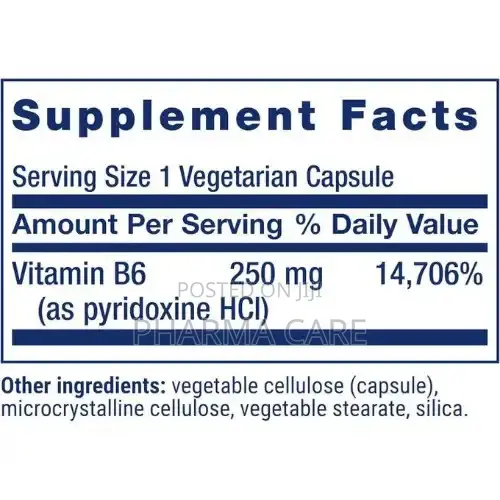 Vitamin B6 250 Mg- 100 Vegetarian Capsules Multi-Benefit Health