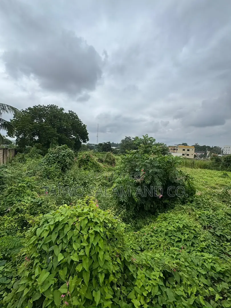 4,658sqm Commercial Land