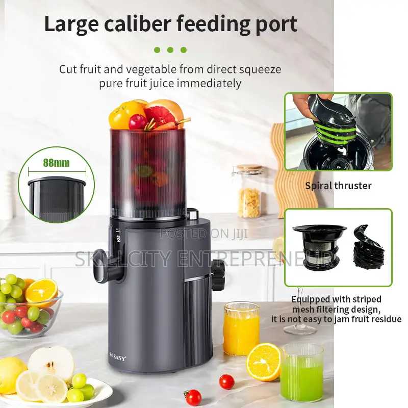 Sokany Whole Slow Juicer