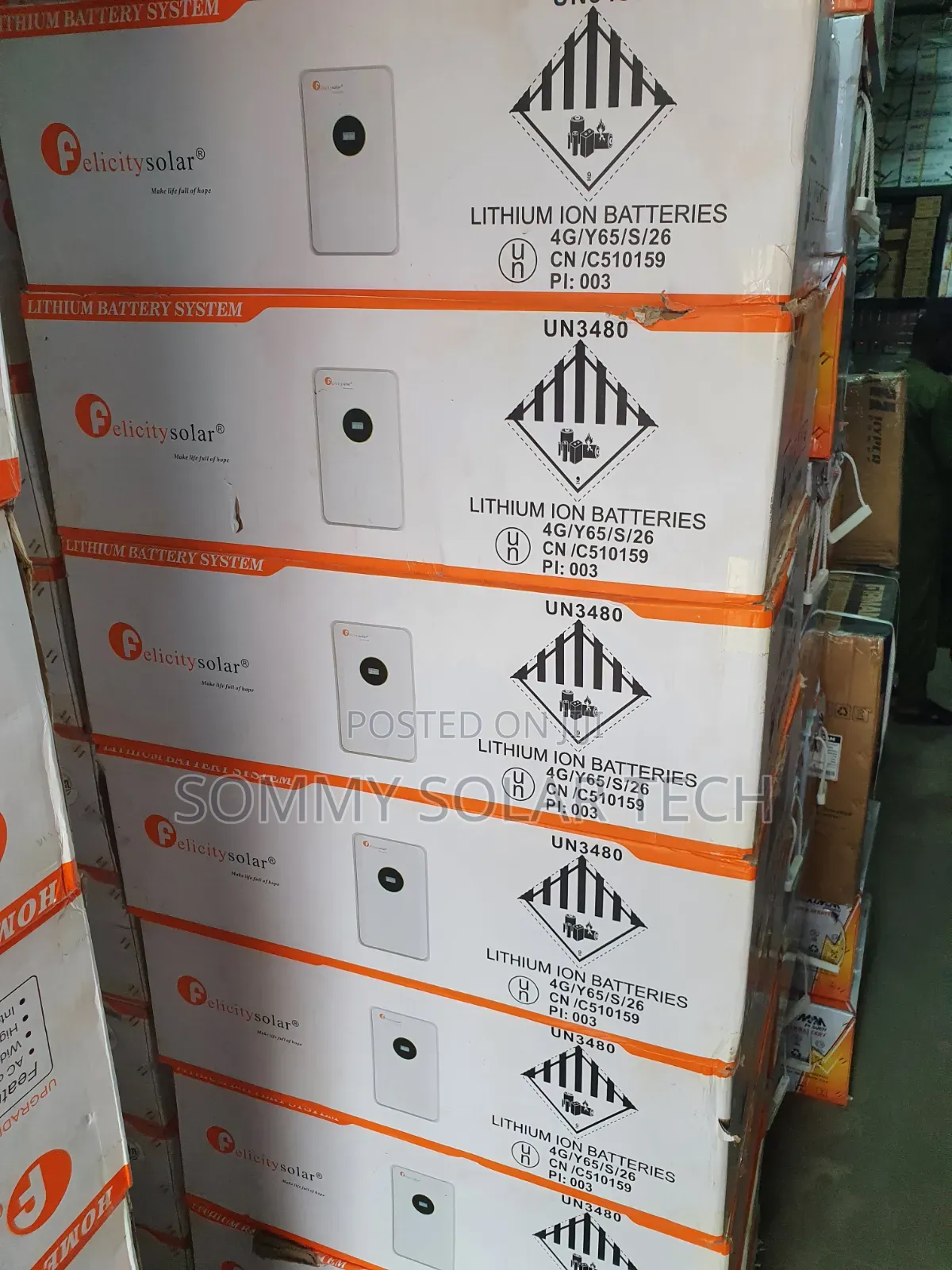 Felicity Lithium Ion Battery
