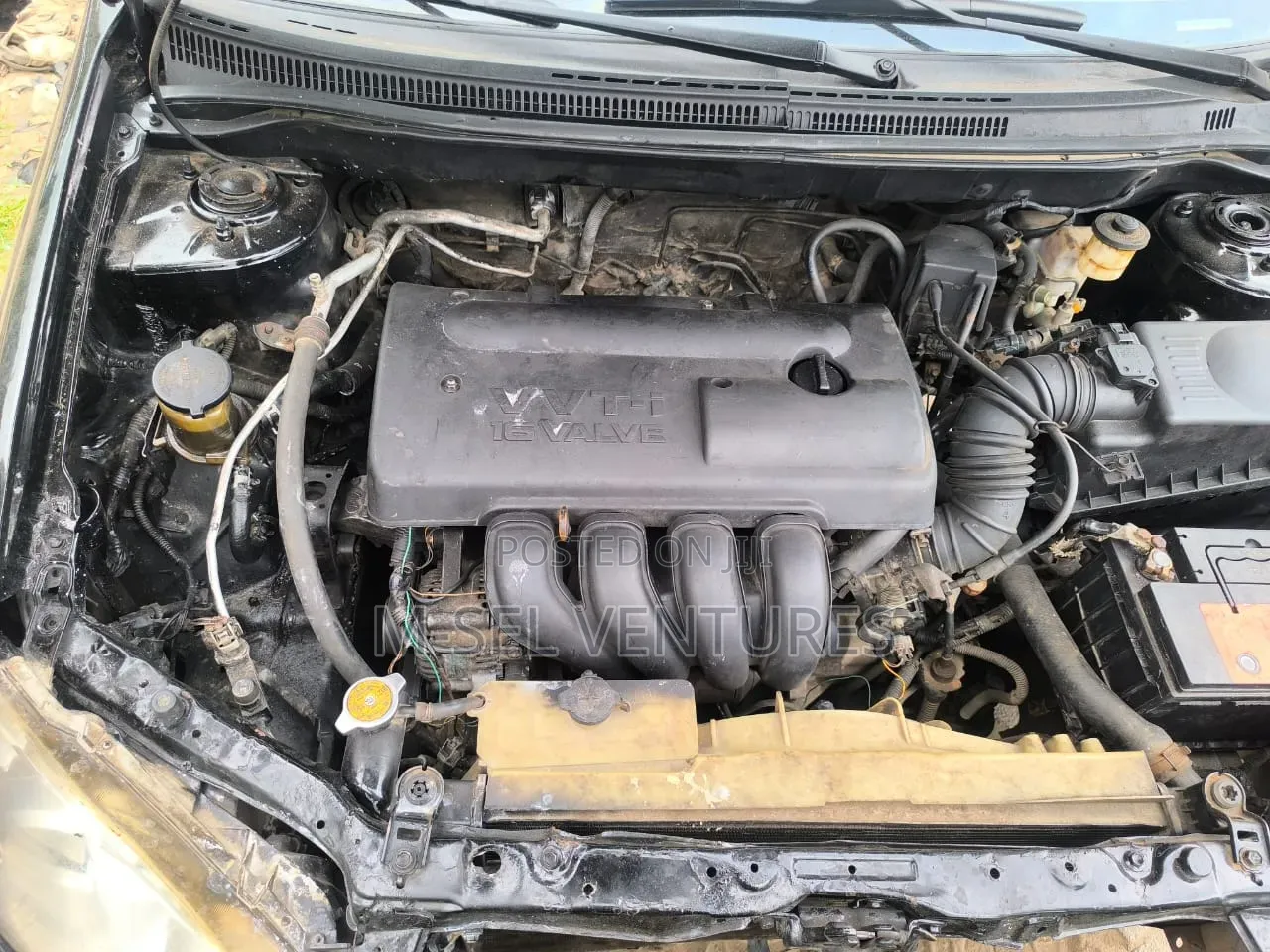 Toyota Corolla 2004 Black