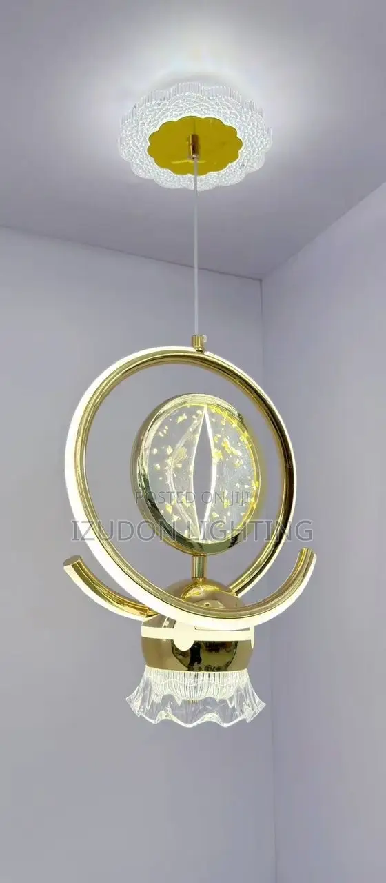 Scandinavian LED Chandelier for Your Room