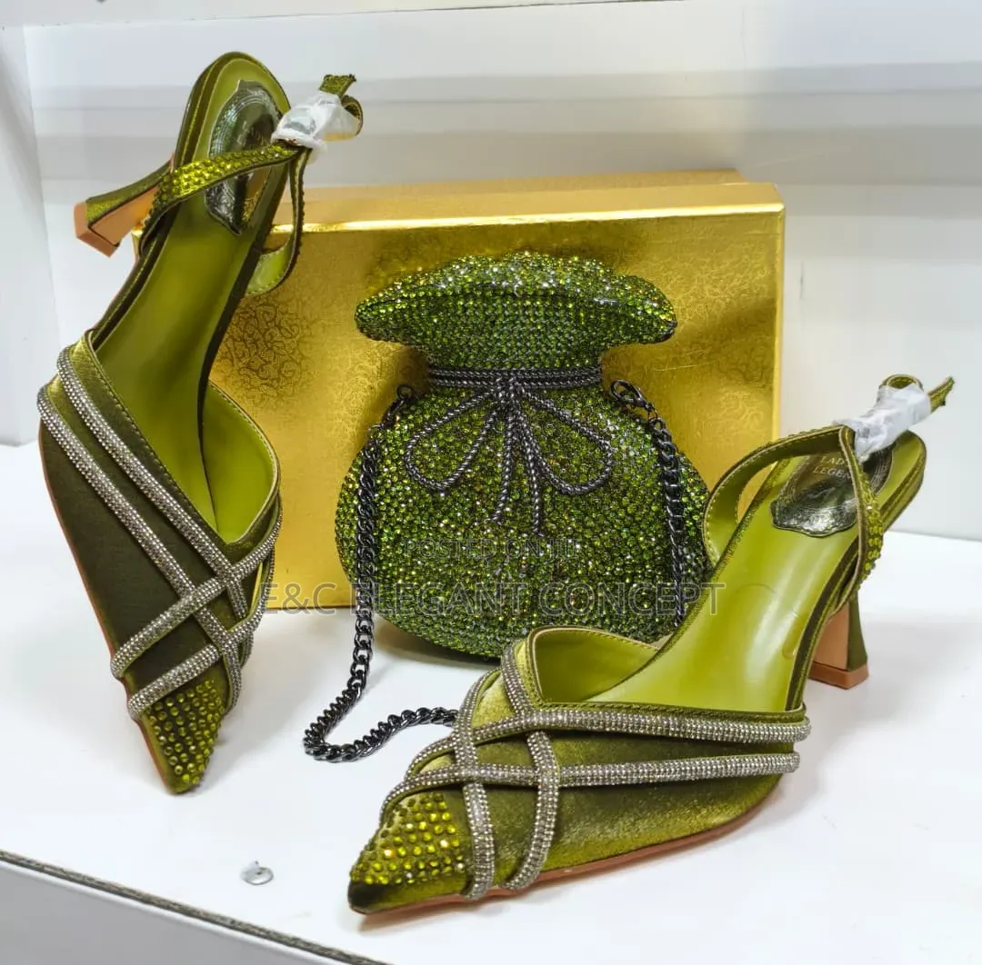 Luxury Designer Ladies Shoe and Purse
