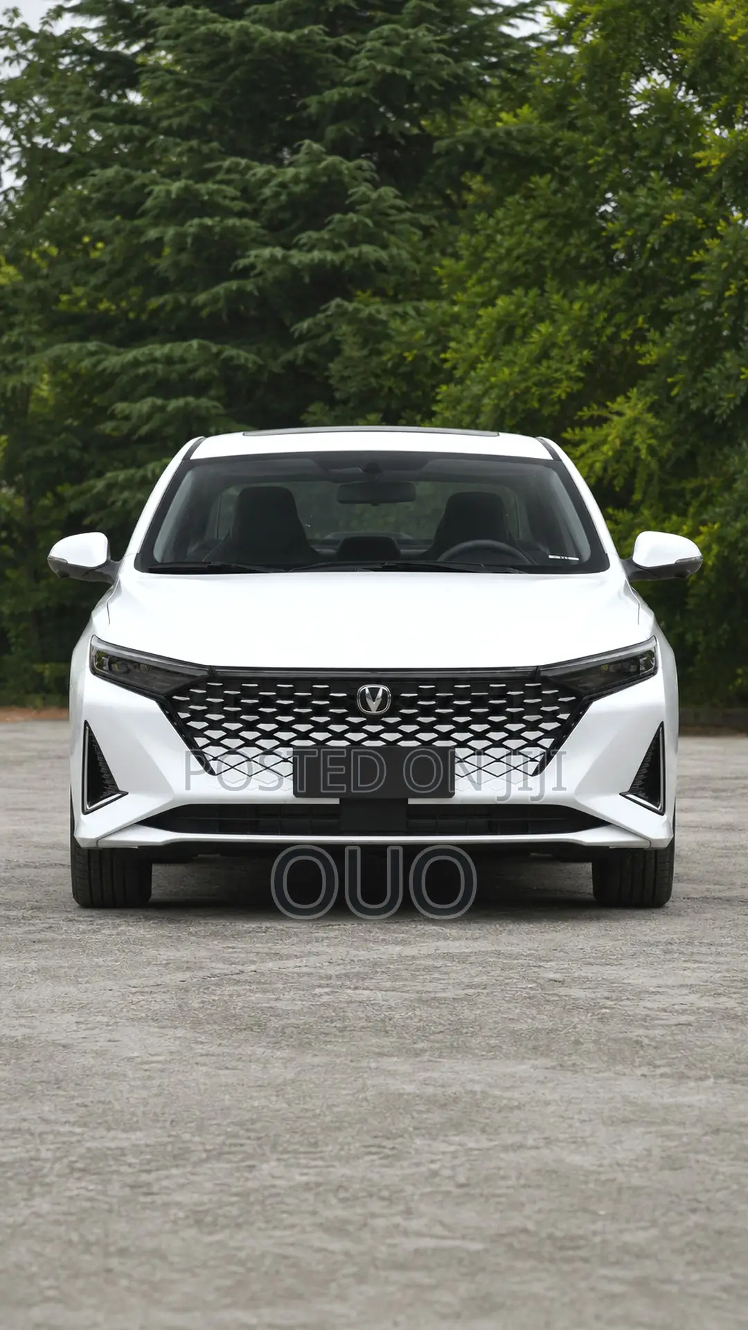 Changan Raeton 2020 White