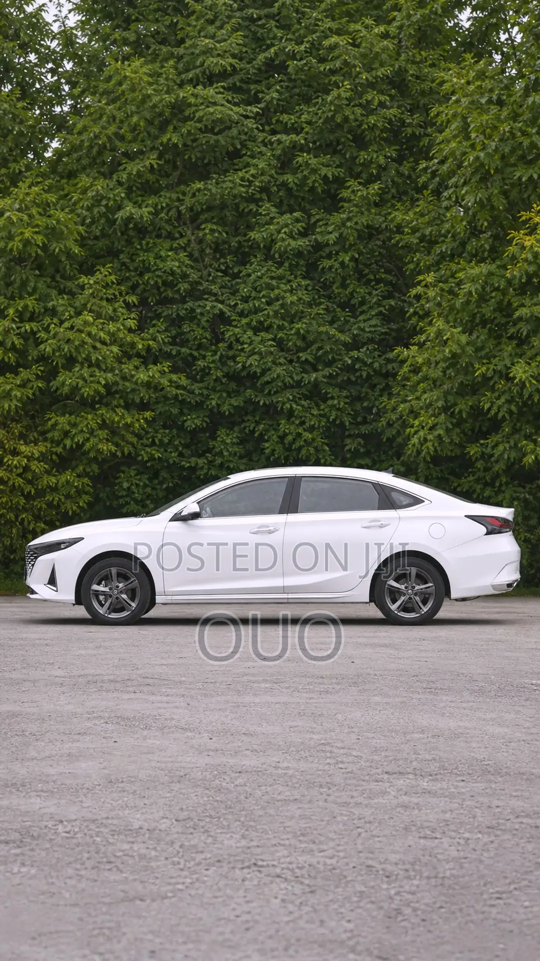 Changan Raeton 2020 White