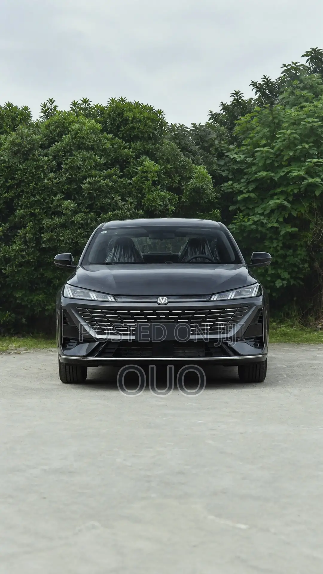 Changan Eado Plus 2025 Gray