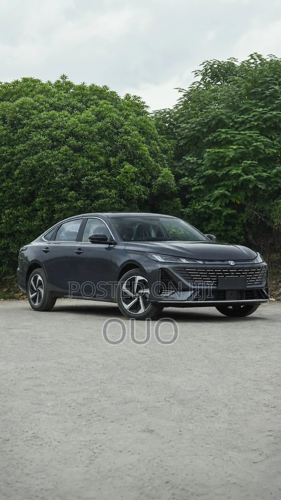 Changan Eado Plus 2025 Gray