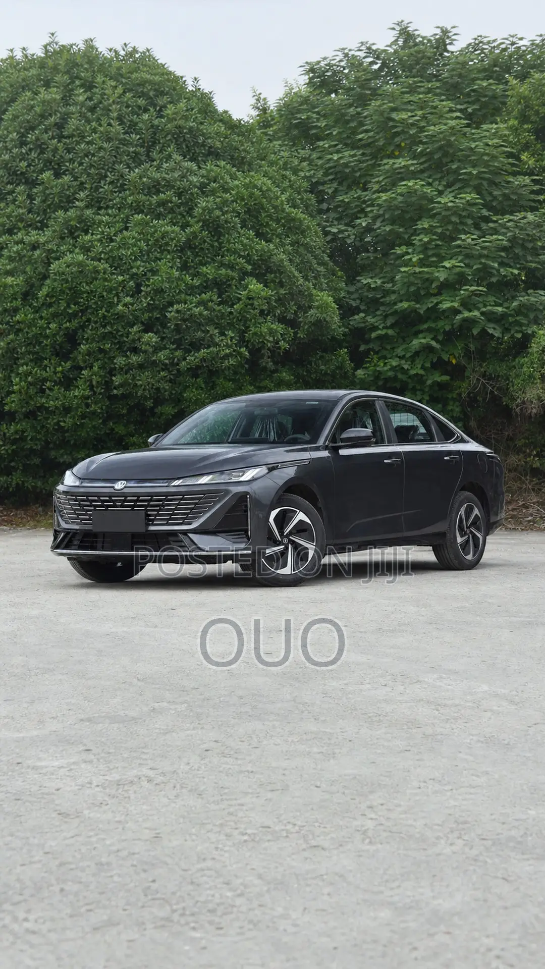 Changan Eado Plus 2025 Gray